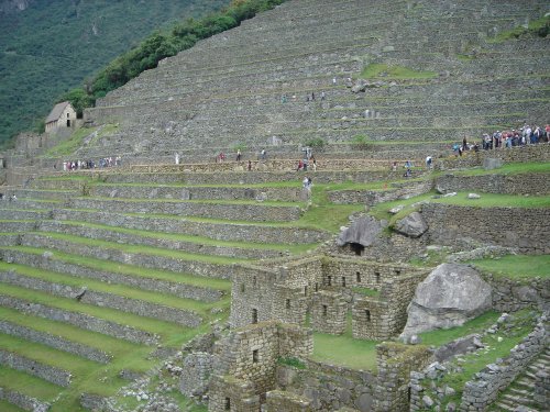 Terraced paddy fields