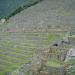 Terraced paddy fields