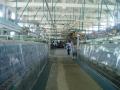 Tomioka silk mill