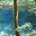 Mysterious blue pond
