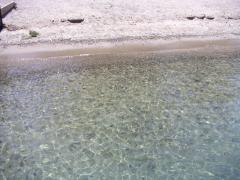 MINOLTA DIGITAL CAMERA