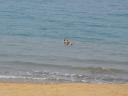dsc04802.JPG