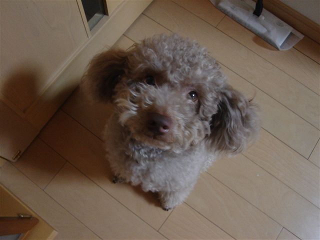dsc02135_r.jpg