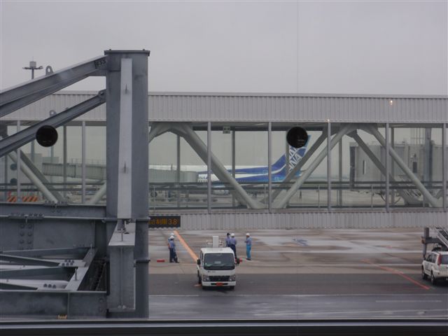 p5300134_r.jpg
