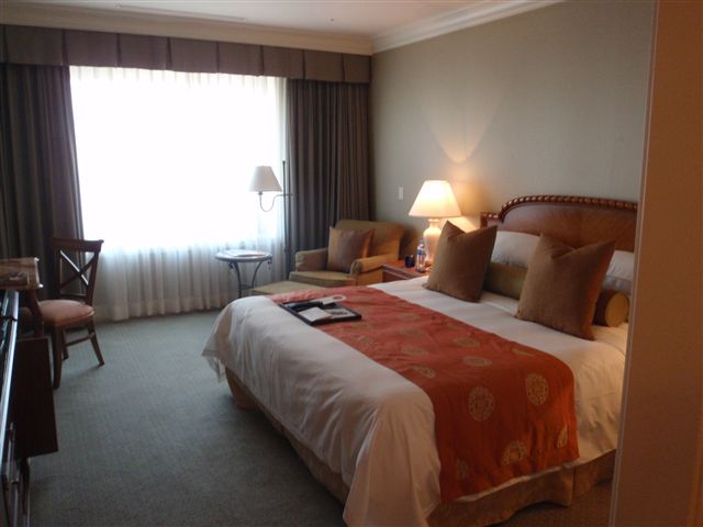 p5310154_r.jpg