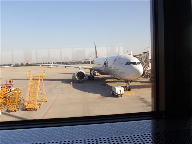 p6010163_r.jpg