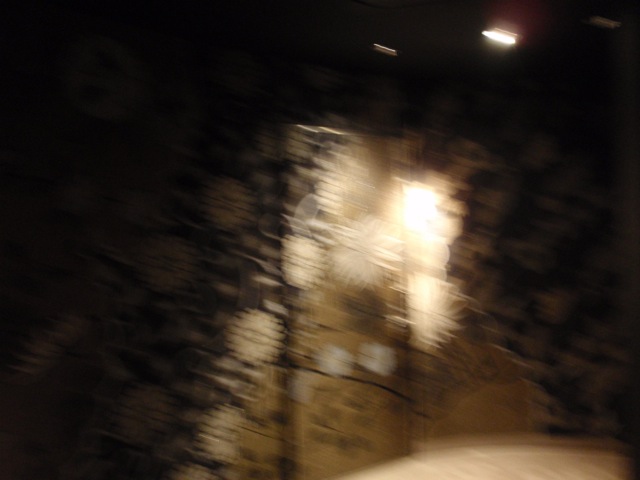p6240345.jpg