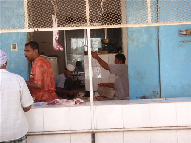 p9231065_r.jpg